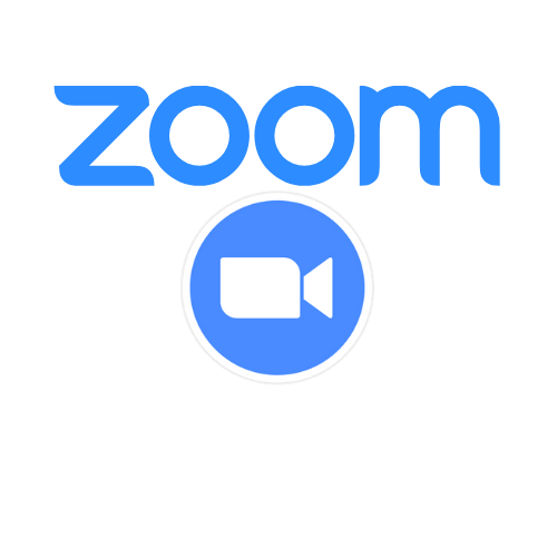 Zoom call